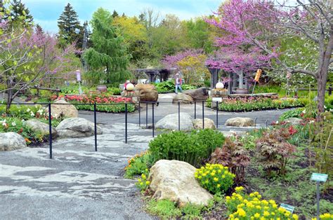 Coastal maine botanical garden - About. The Gardens is 323 acres, 19 of which are ornamental and themed gardens featuring native plants of Maine and others suited to northern coastal conditions. Trails …